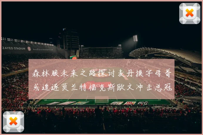 森林狼未来之路探讨麦丹换字母哥或追逐莫兰特福克斯欧文冲击总冠军