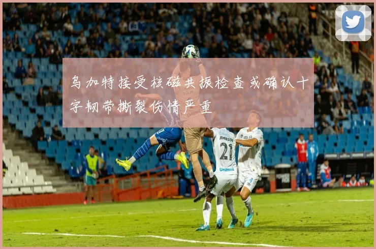 乌加特接受核磁共振检查或确认十字韧带撕裂伤情严重